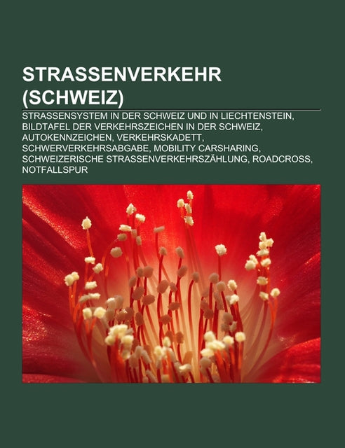 Strassenverkehr (Schweiz)