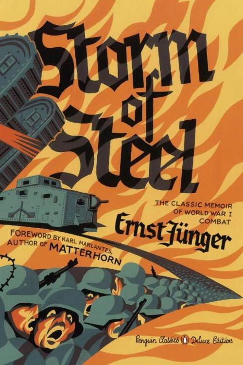 Buchcover: Storm of Steel