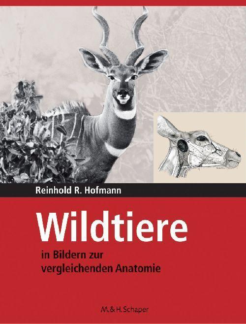 Buchcover: Wildtiere in Bildern zur Vergleichenden Anatomie