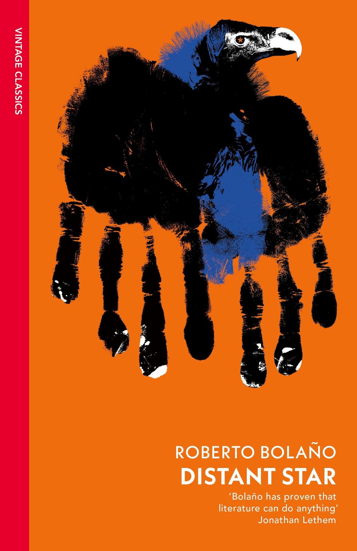 Buchcover: Distant Star
