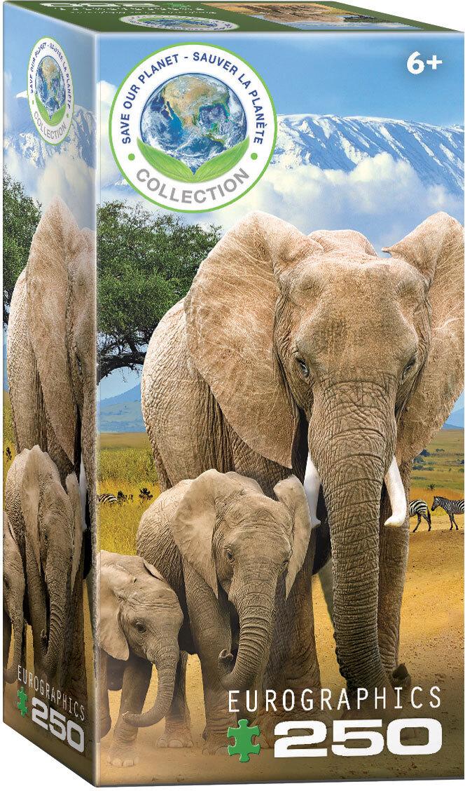 Buchcover: Elephants