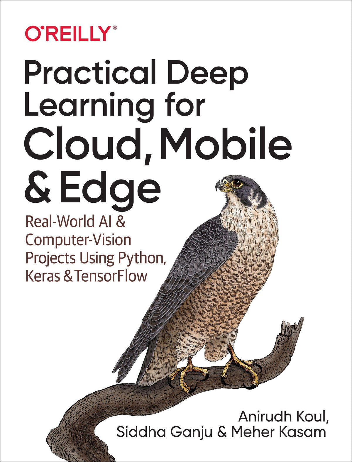 Buchcover: Practical Deep Learning for Cloud and Mobile