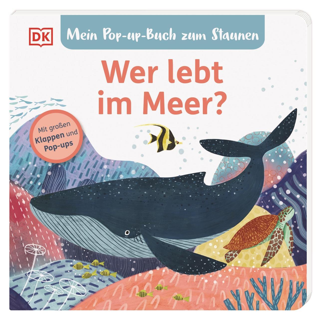 Mein Pop-up-Buch zum Staunen. Wer lebt im  Meer?