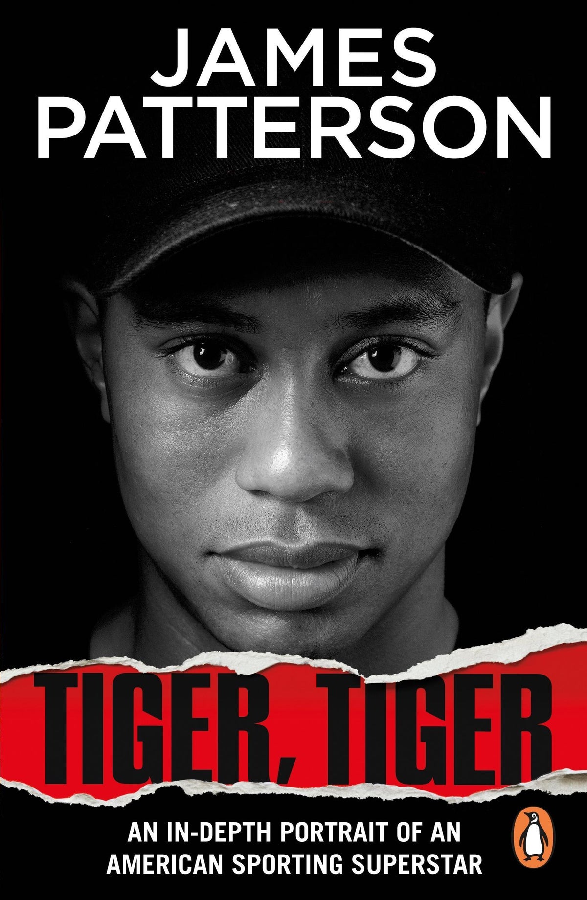 Buchcover: Tiger, Tiger