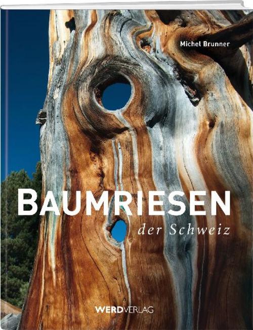 Buchcover: Baumriesen der Schweiz