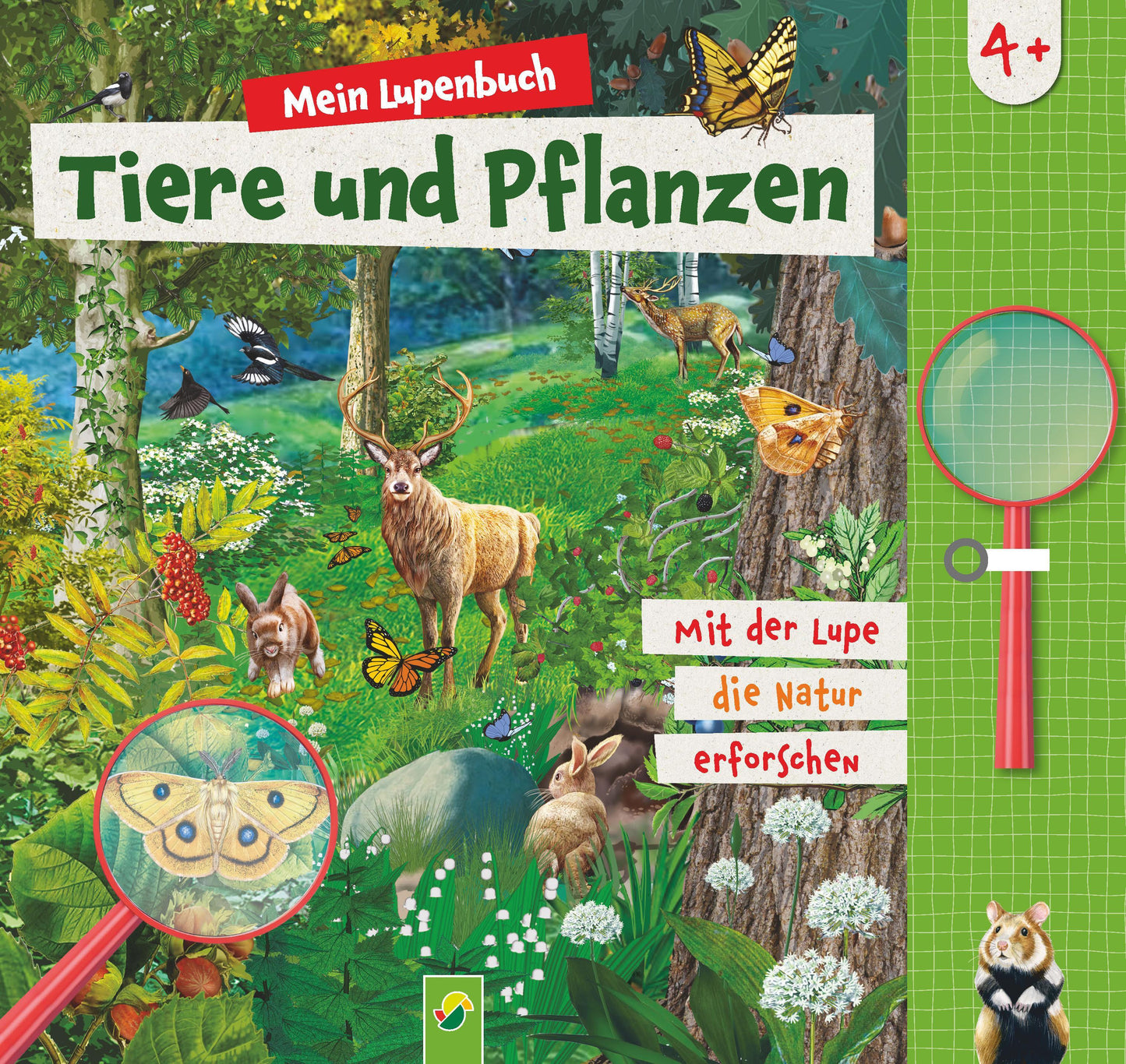 Noa, Sandra/Mein Lupenbuch Tiere und Pflanzen