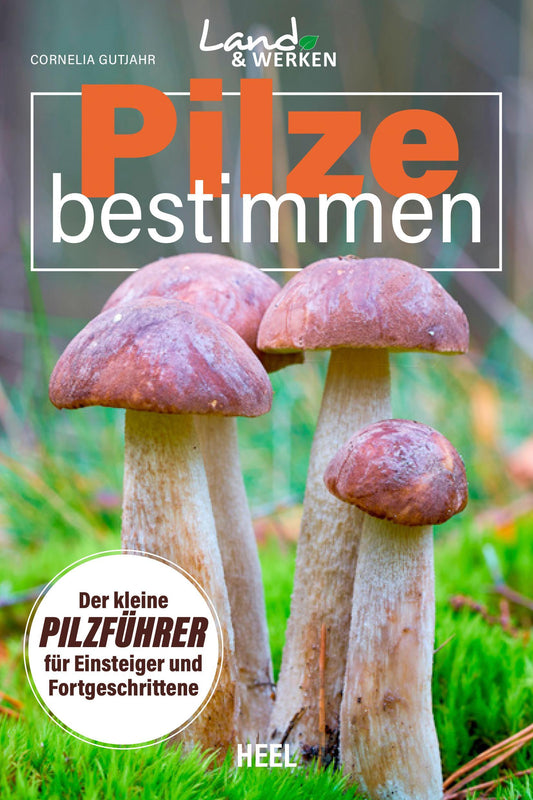 Buchcover: Pilze bestimmen - Der kleine Pilzführer für Einsteiger und Fortgeschrittene