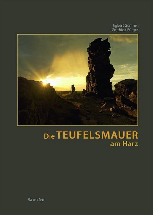 Buchcover: Die Teufelsmauer am Harz