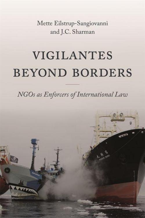 Vigilantes beyond Borders