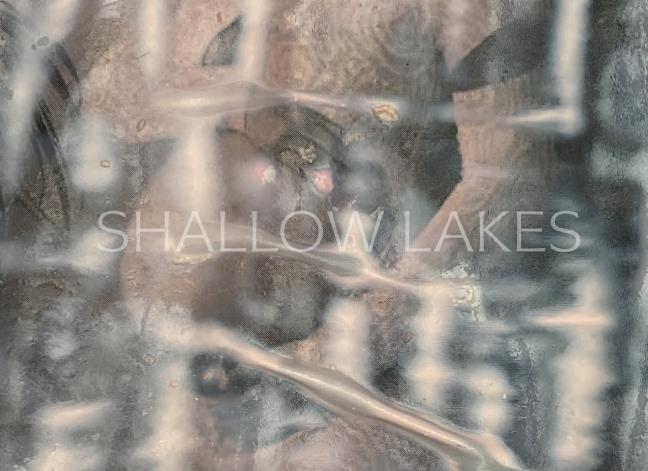Buchcover: shallow lakes