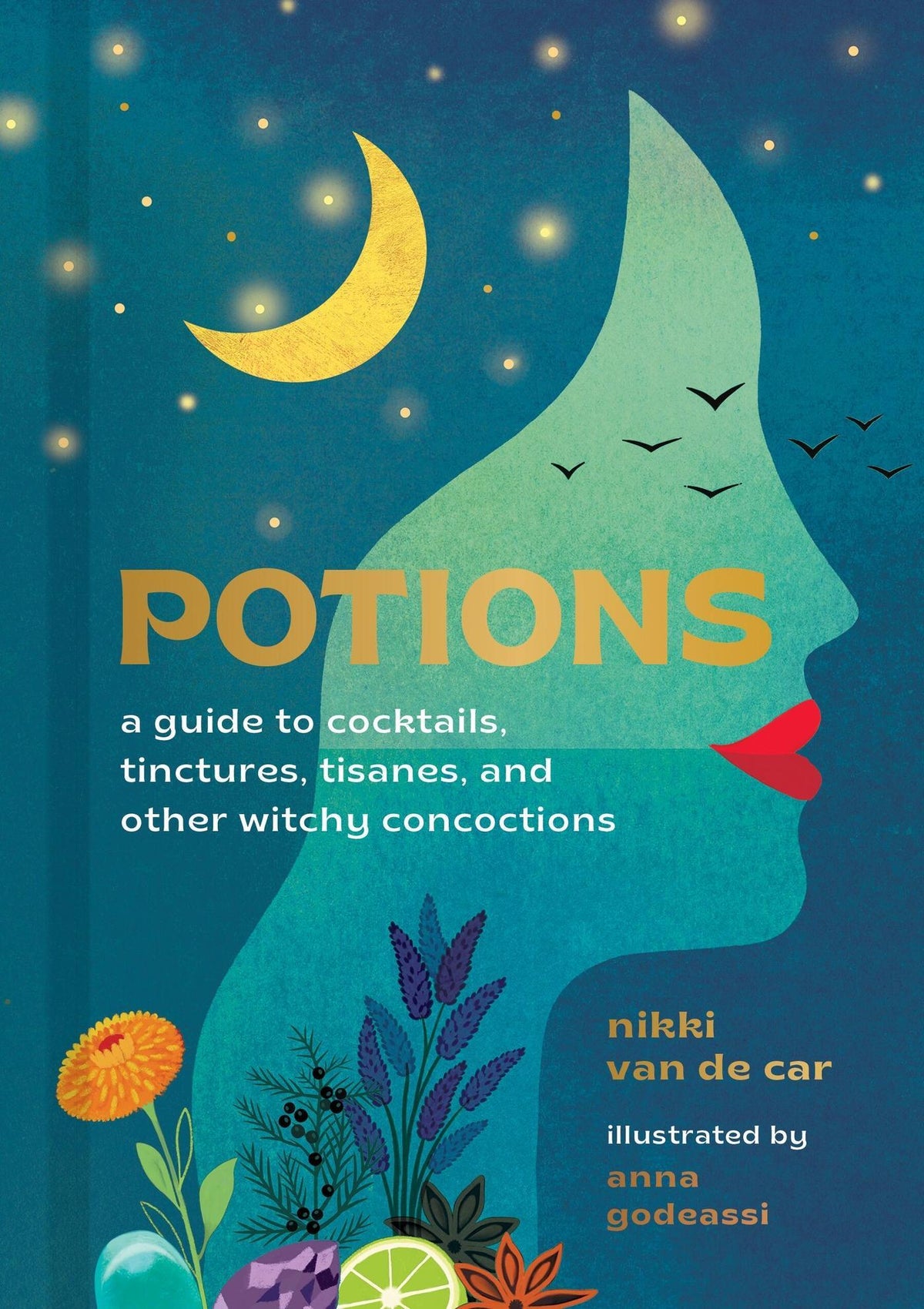 Buchcover: Potions