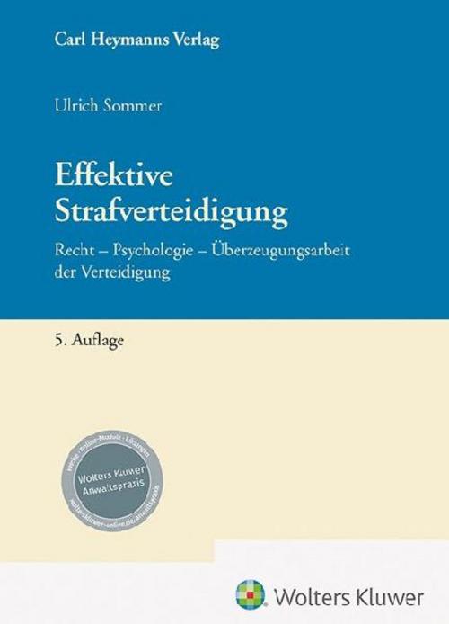 Effektive Strafverteidigung