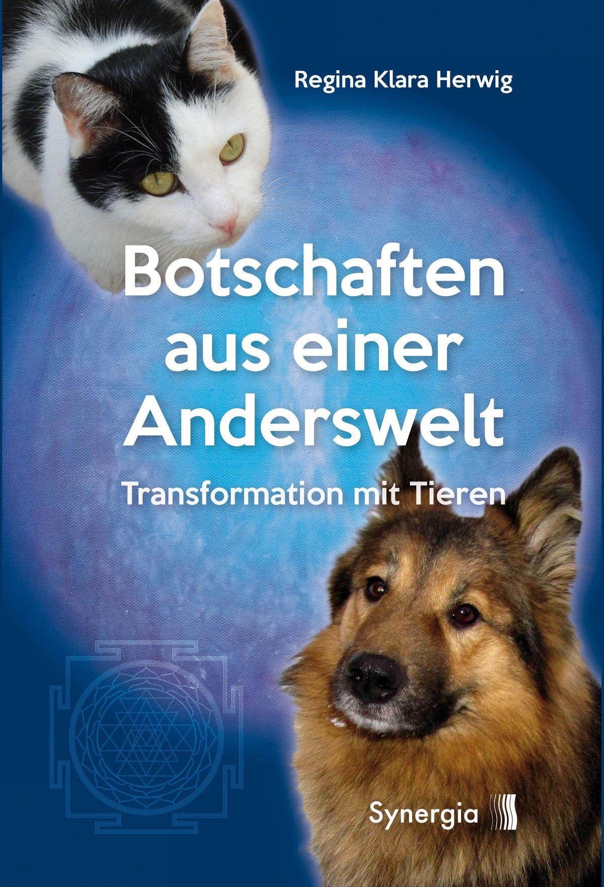 Buchcover: Botschaften aus einer Anderswelt
