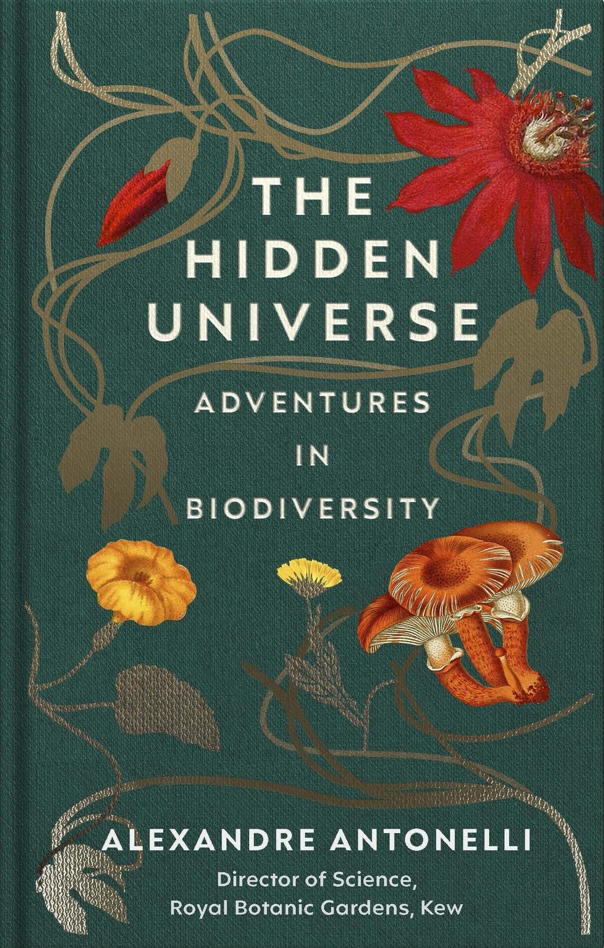 Buchcover: The Hidden Universe