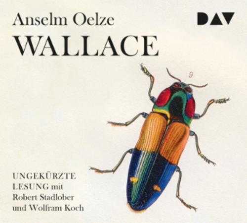 Wallace,6 Audio-CDs