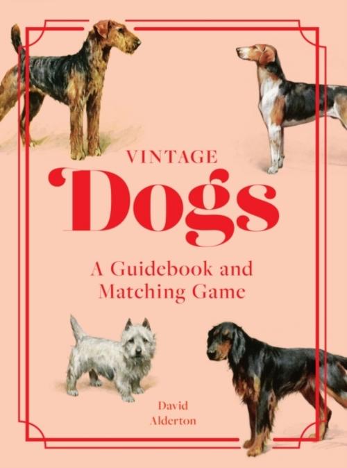 Buchcover: Vintage Dogs