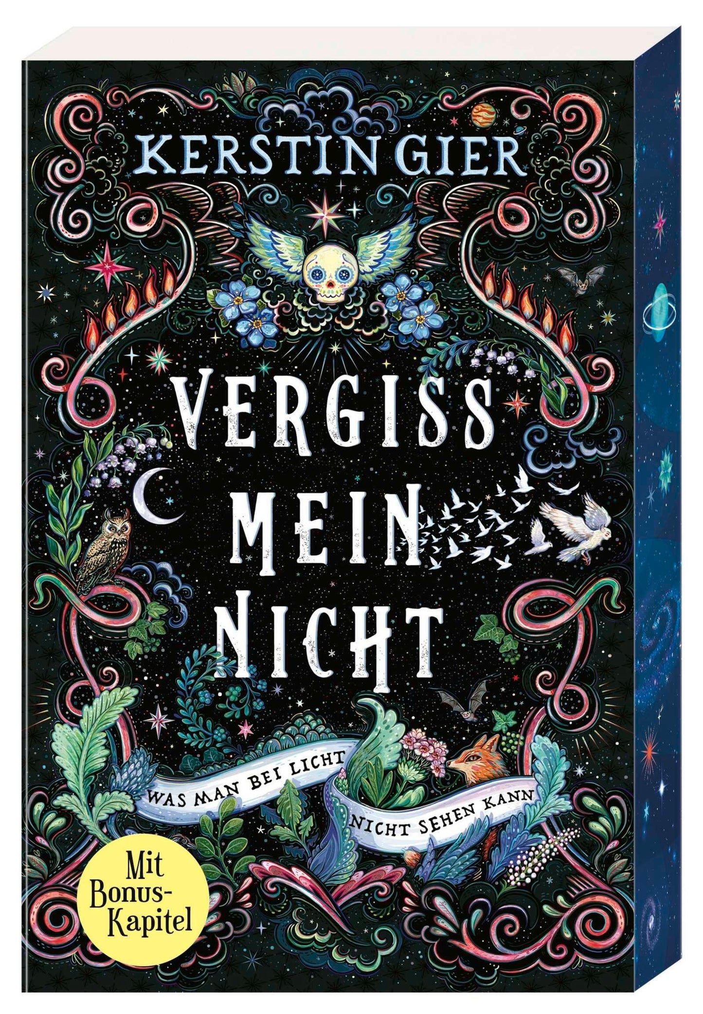Gier, Kerstin/Vergissmeinnicht - Was man bei Licht nicht sehen kann