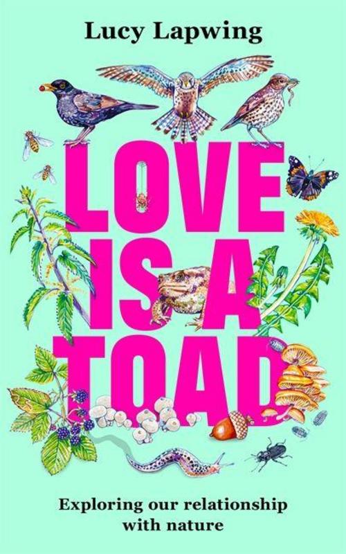 Buchcover: Love Is A Toad