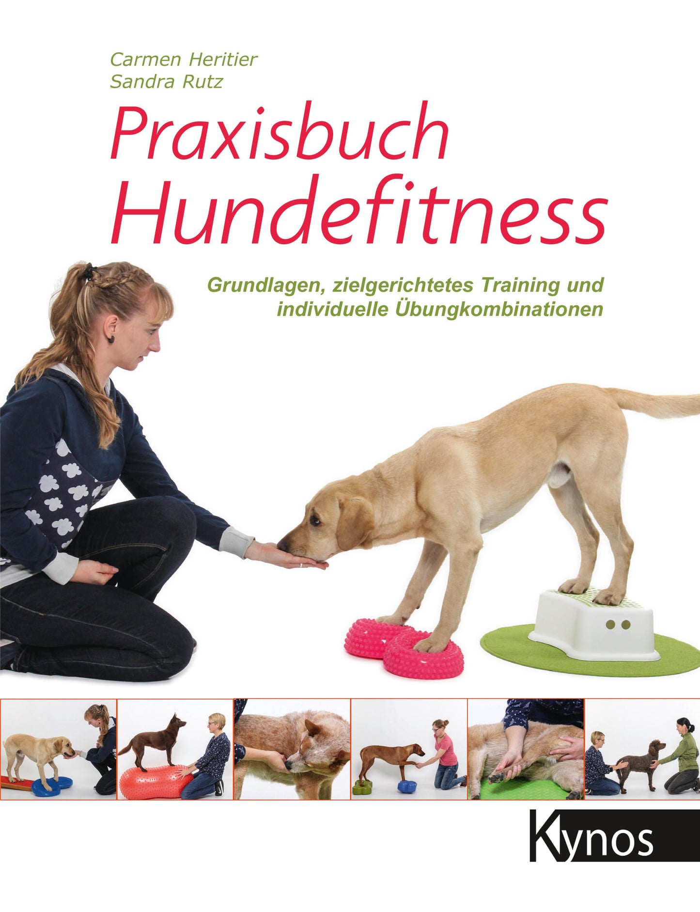 Praxisbuch Hundefitness
