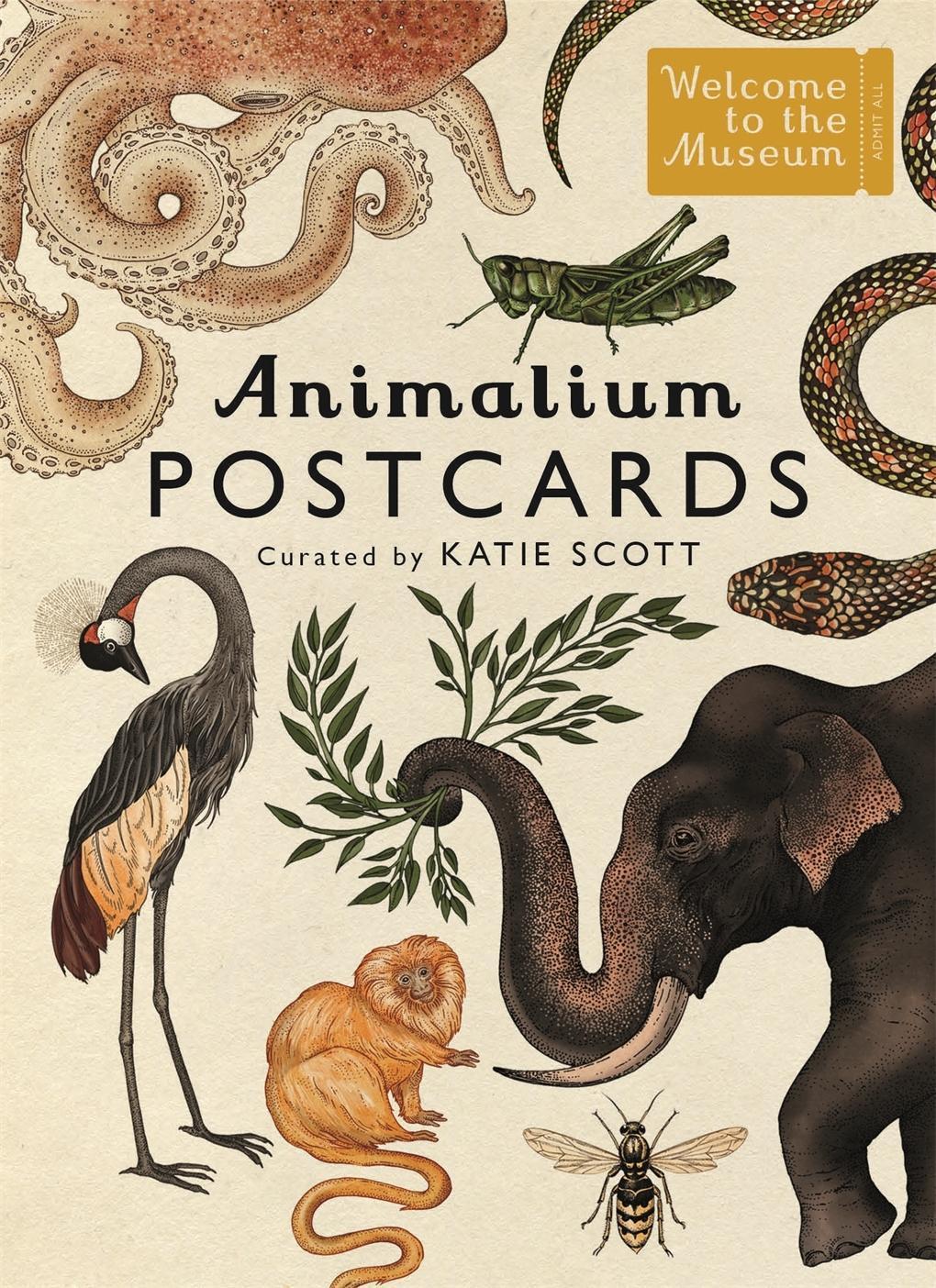 Buchcover: Animalium Postcards