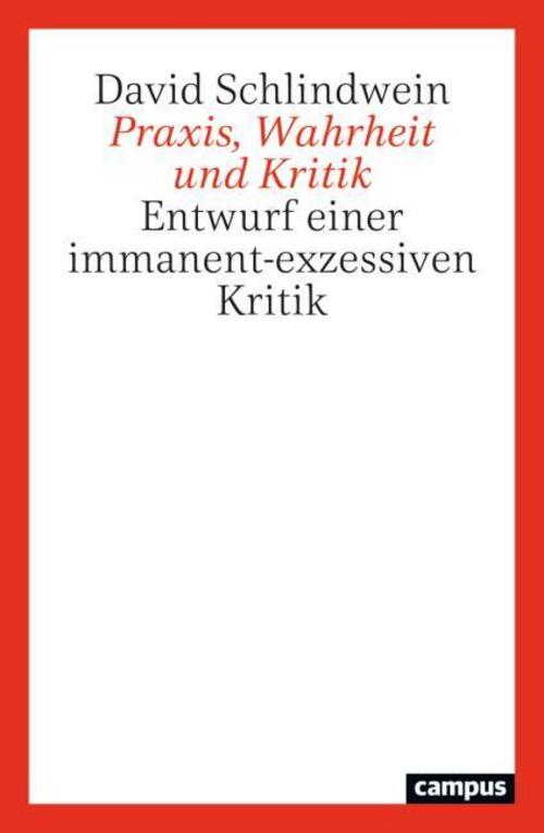 Praxis, Wahrheit und Kritik
