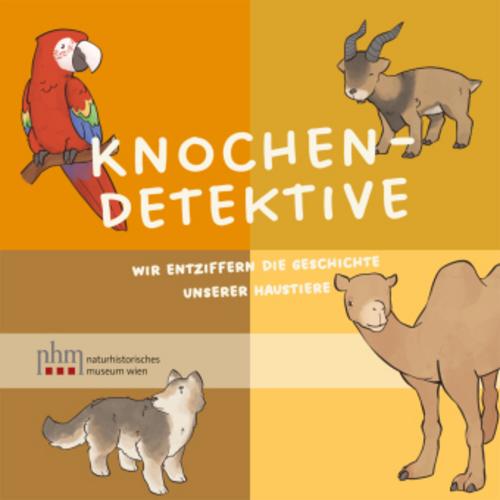 Knochendetektive