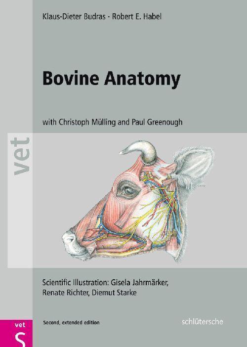 Buchcover: Bovine Anatomy