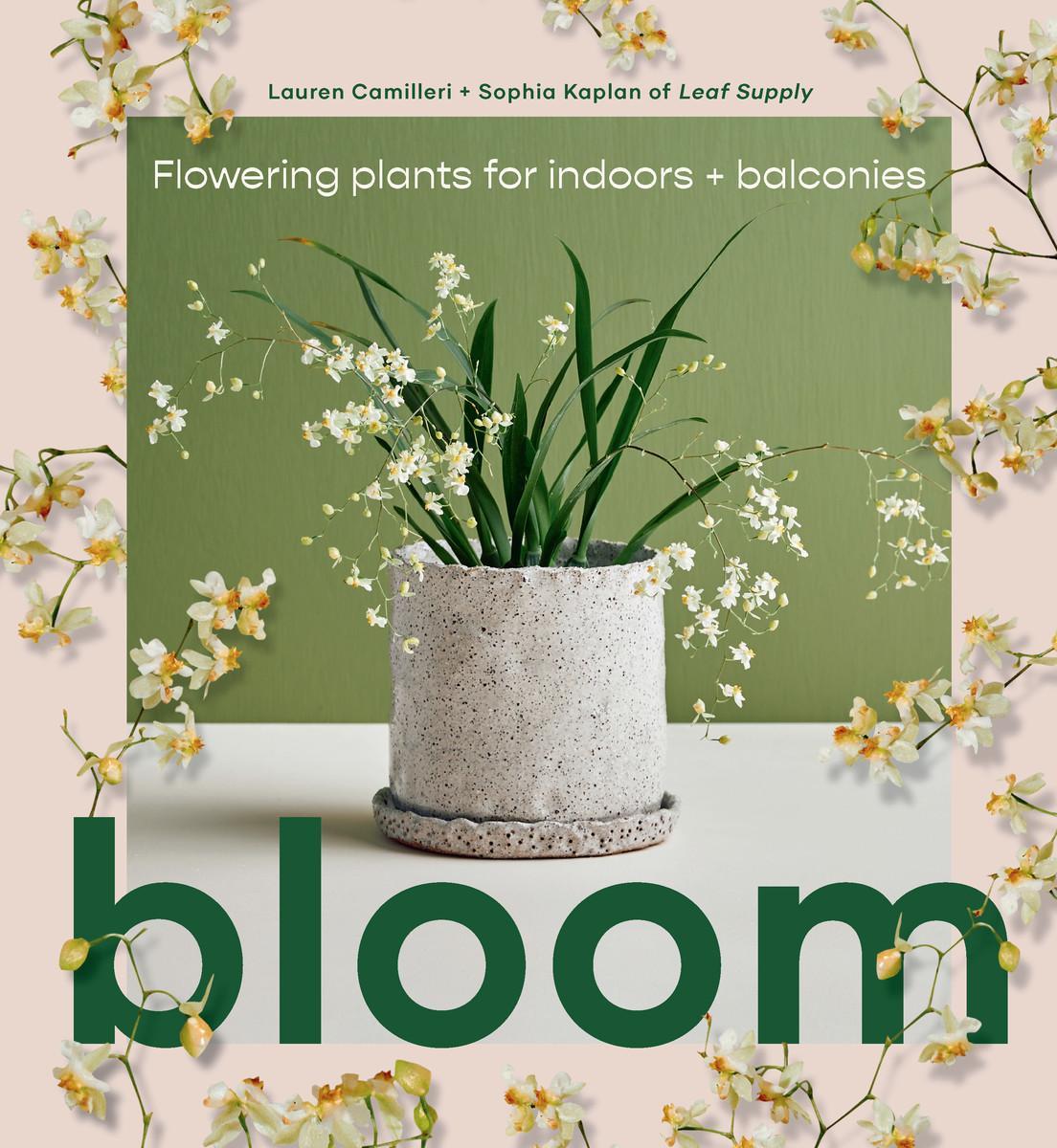 Buchcover: Bloom