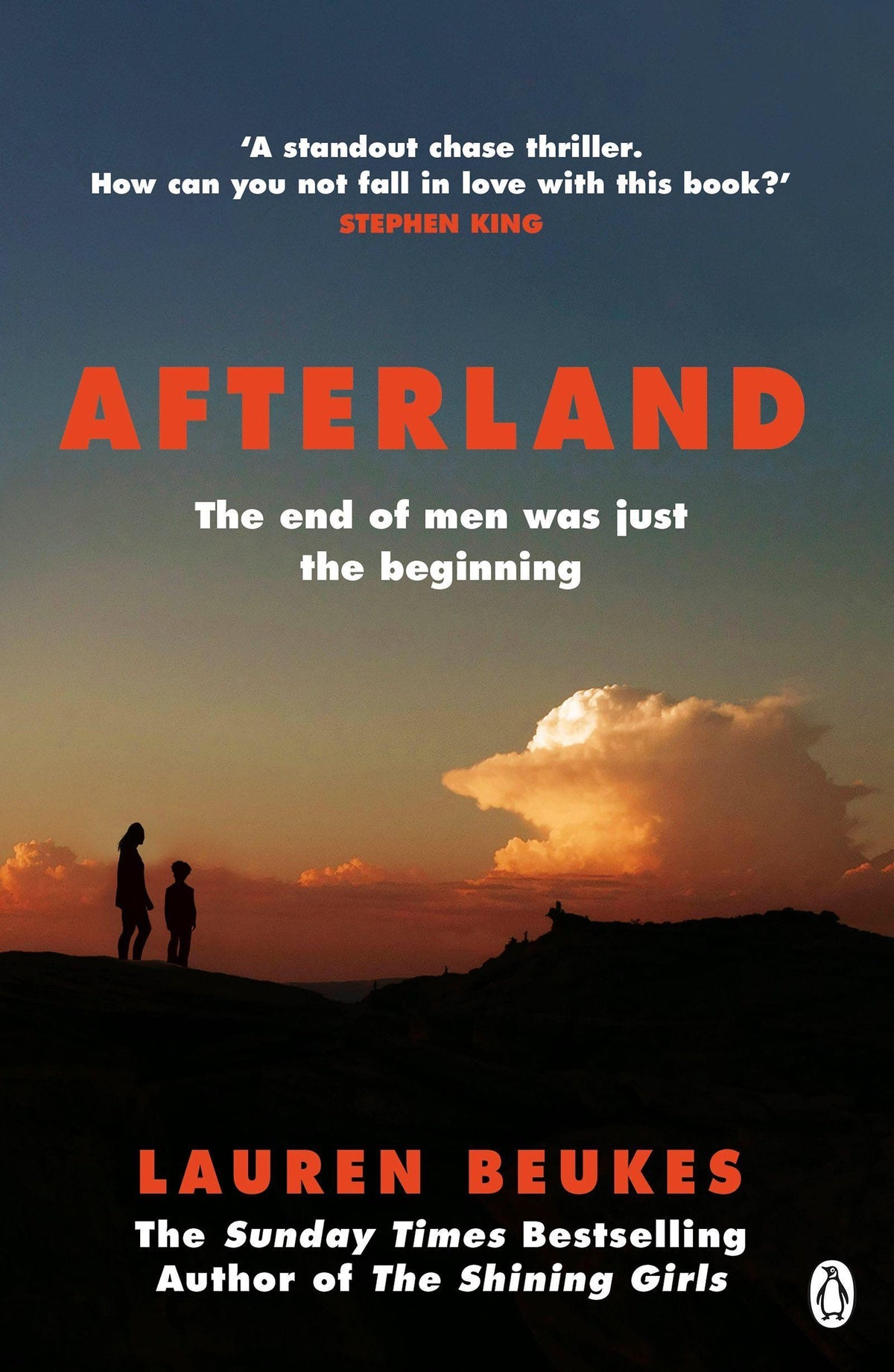 Buchcover: Afterland