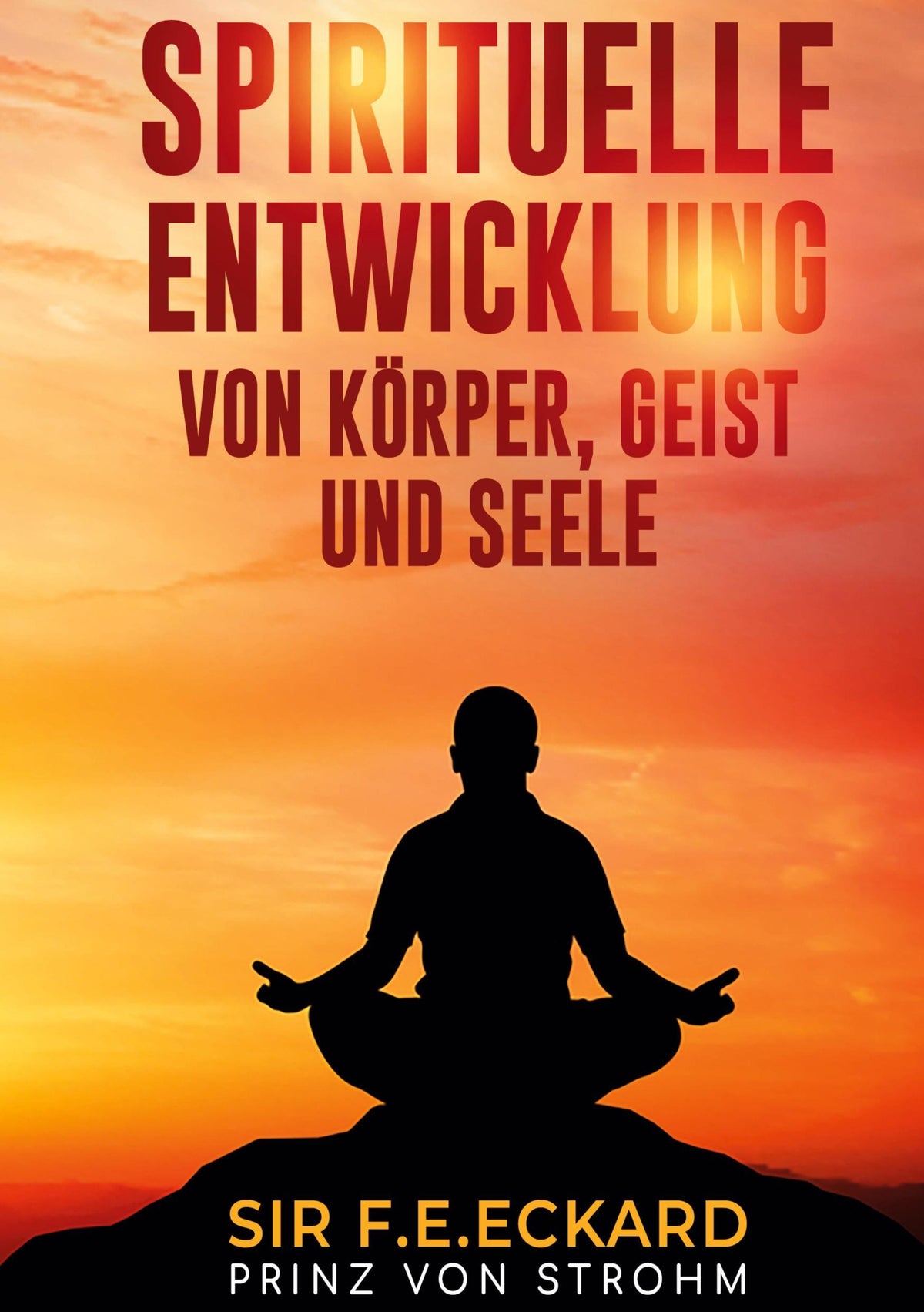 Buchcover: Spirituelle Entwicklung von Körper und Geist