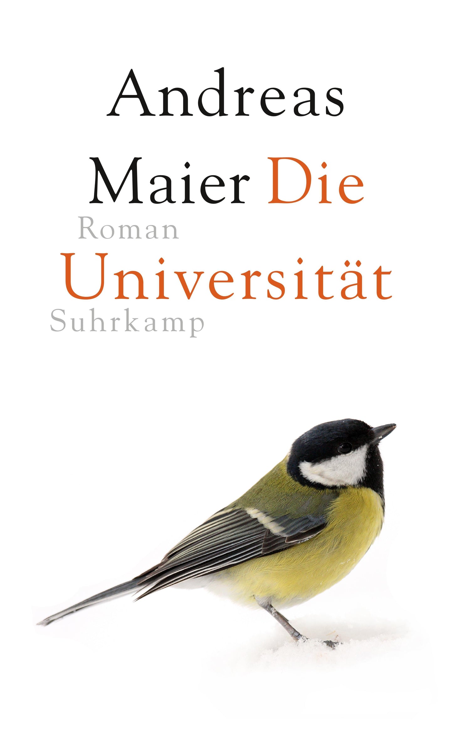 Die Universität - Roman (Ortsumgehung 6)