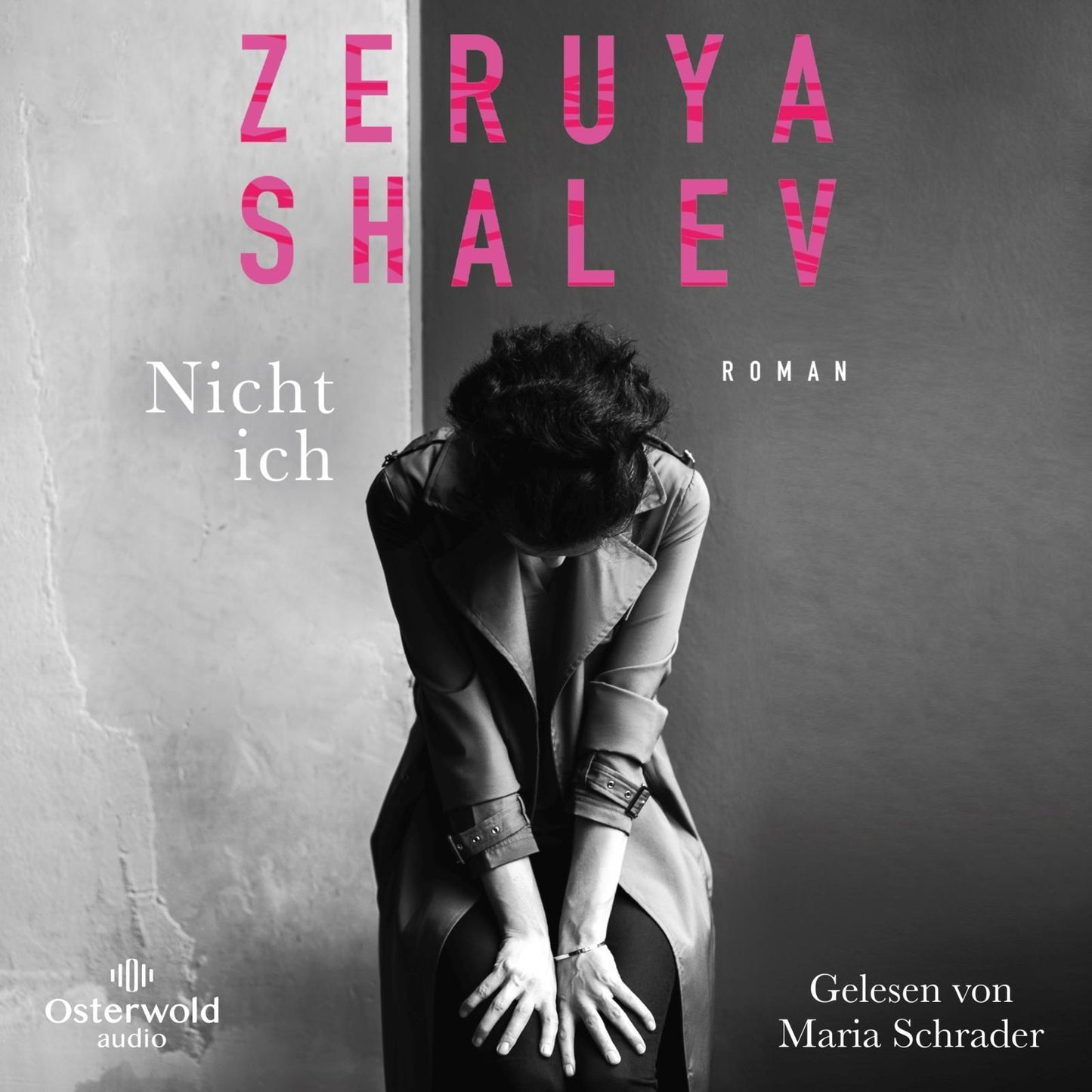 Nicht ich,4 Audio-CD