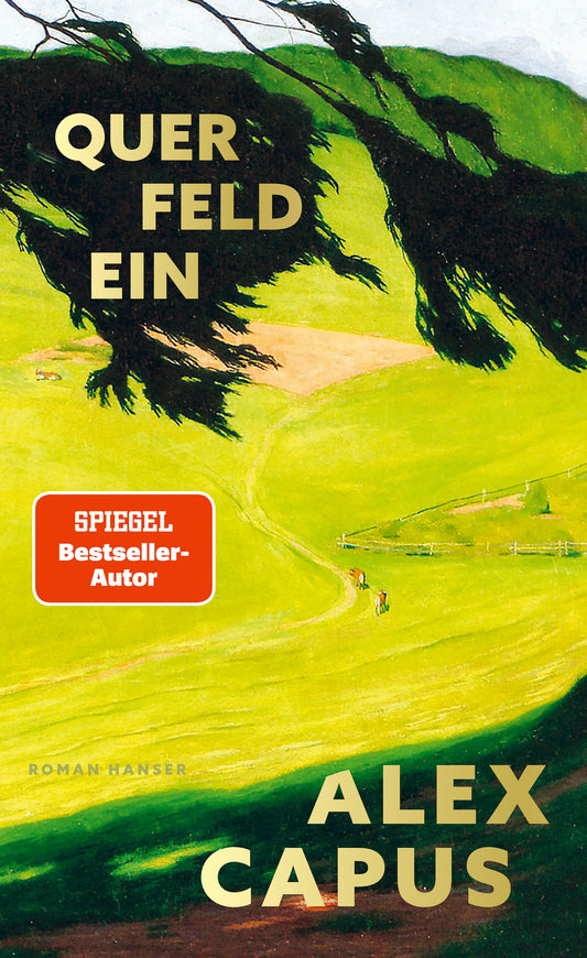 Querfeldein: Roman