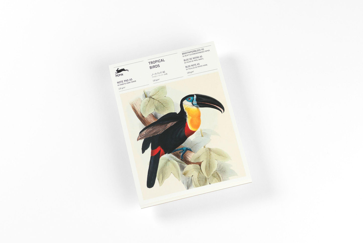Tropical Birds