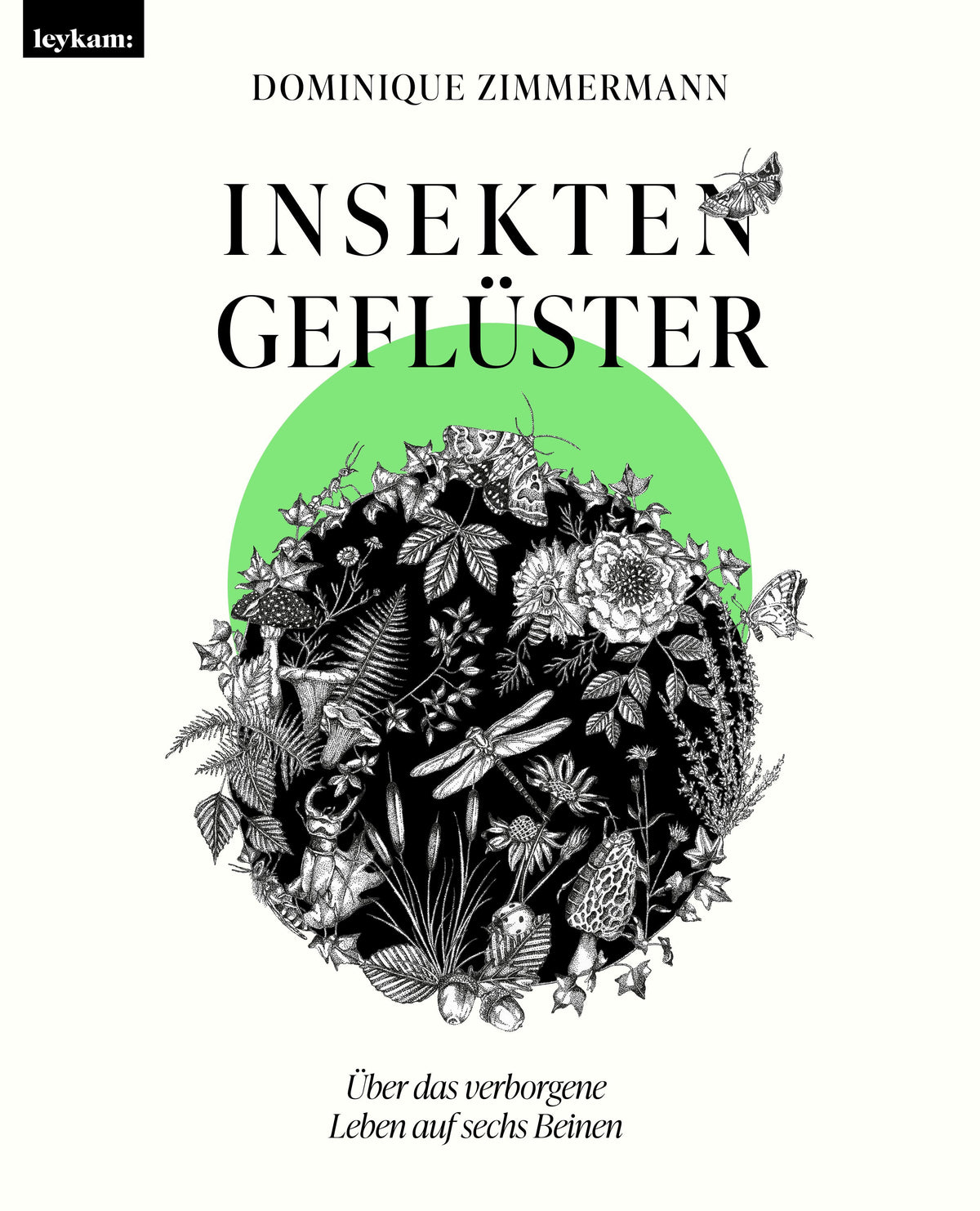Buchcover: Insektengeflüster - Über das verborgene Leben auf sechs Beinen