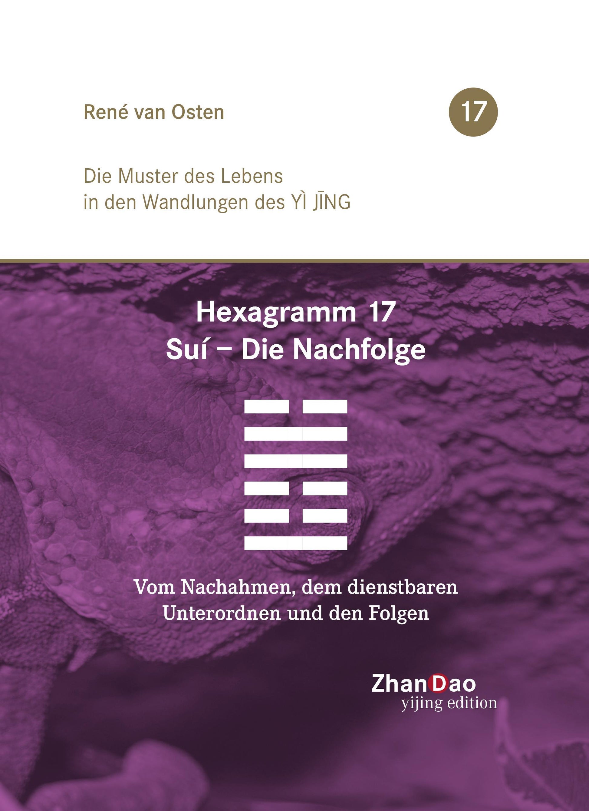 Buchcover: Hexagramm 17, Suí - Die Nachfolge