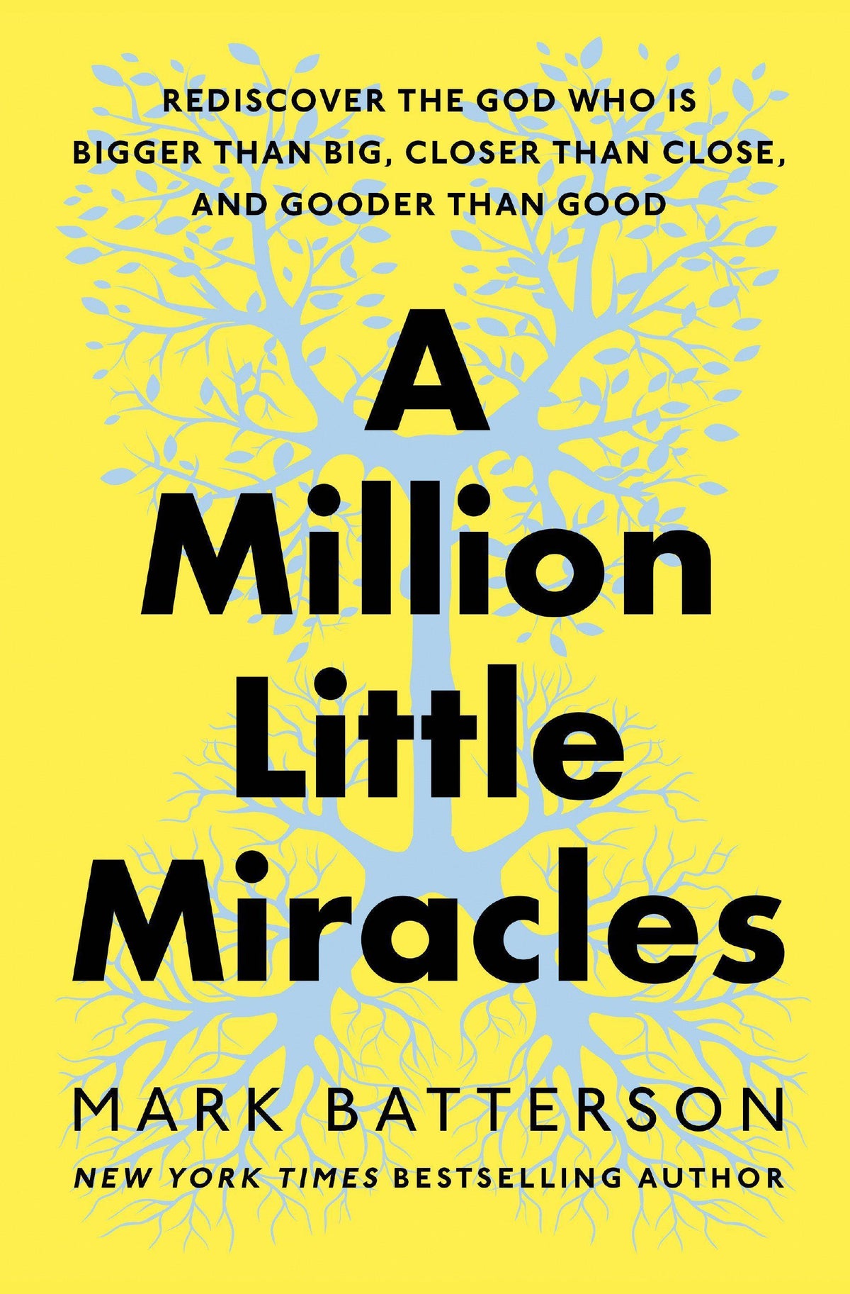 Buchcover: A Million Little Miracles