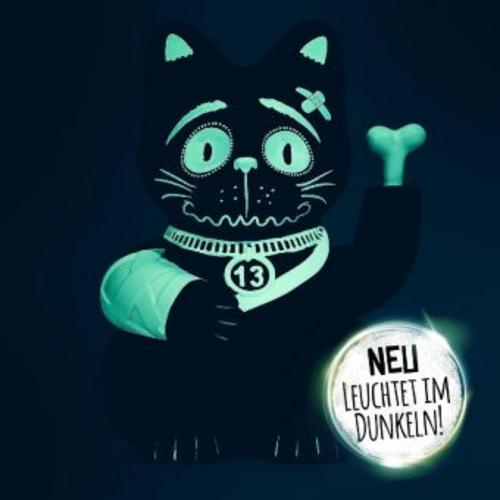 Buchcover: Winkekatze Glow in the Dark