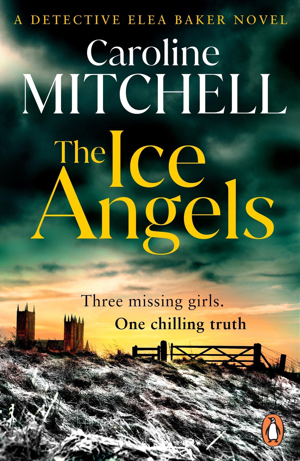 Buchcover: The Ice Angels