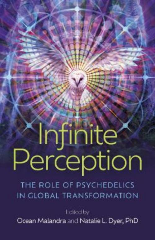 Buchcover: Infinite Perception