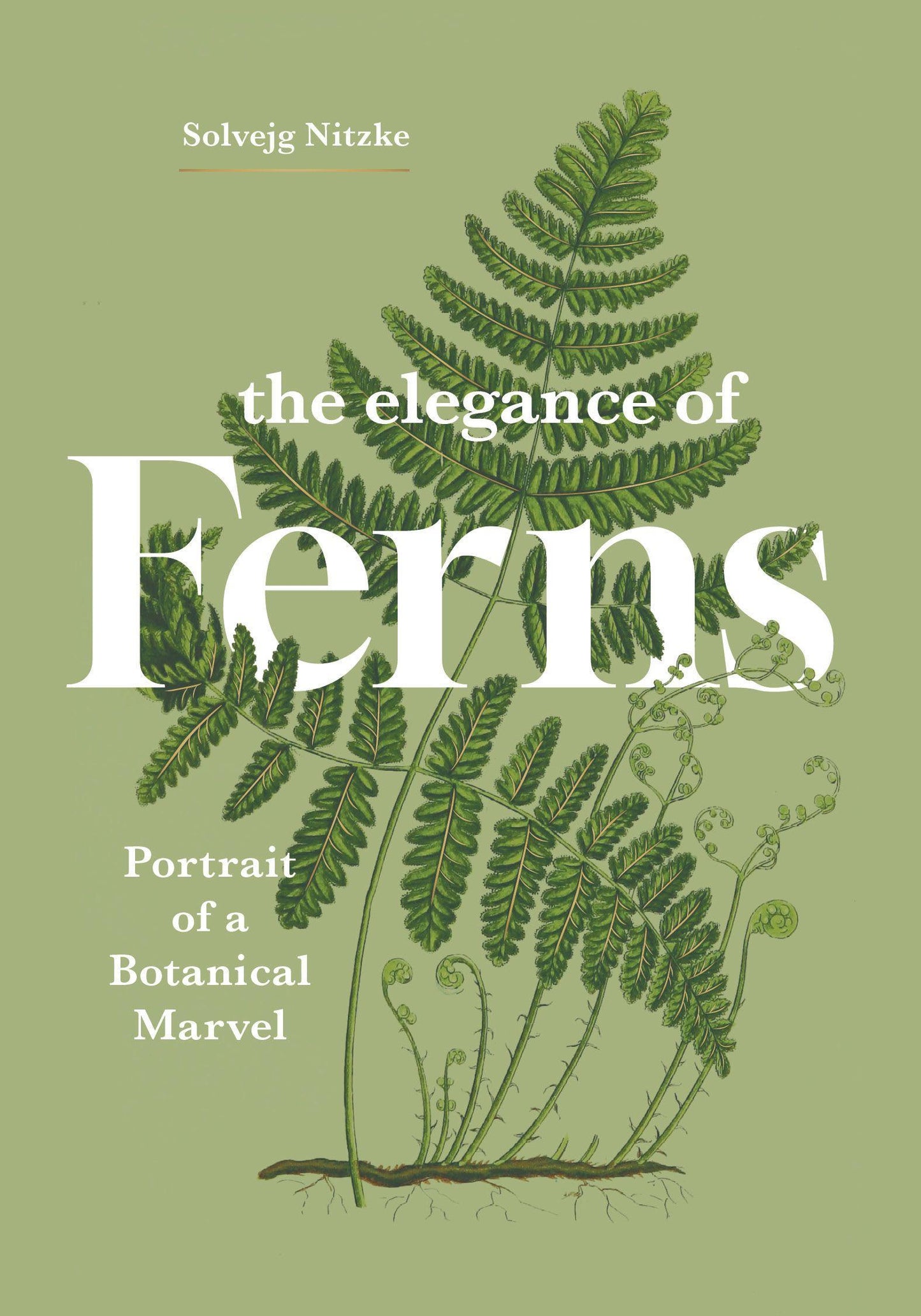 Buchcover: The Elegance of Ferns