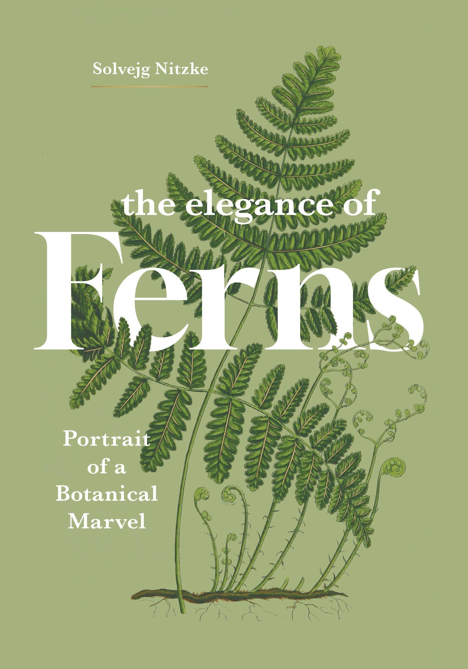 Buchcover: The Elegance of Ferns