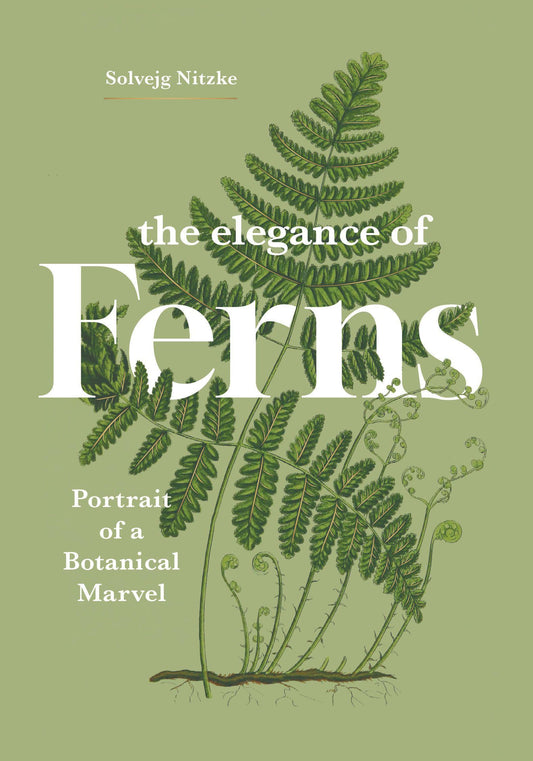 Buchcover: The Elegance of Ferns