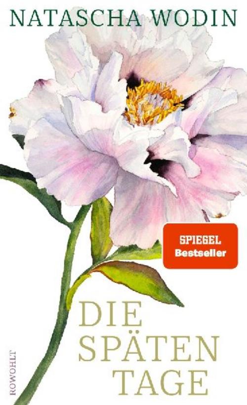 Die späten Tage: Über das Altwerden und eine späte große Liebe