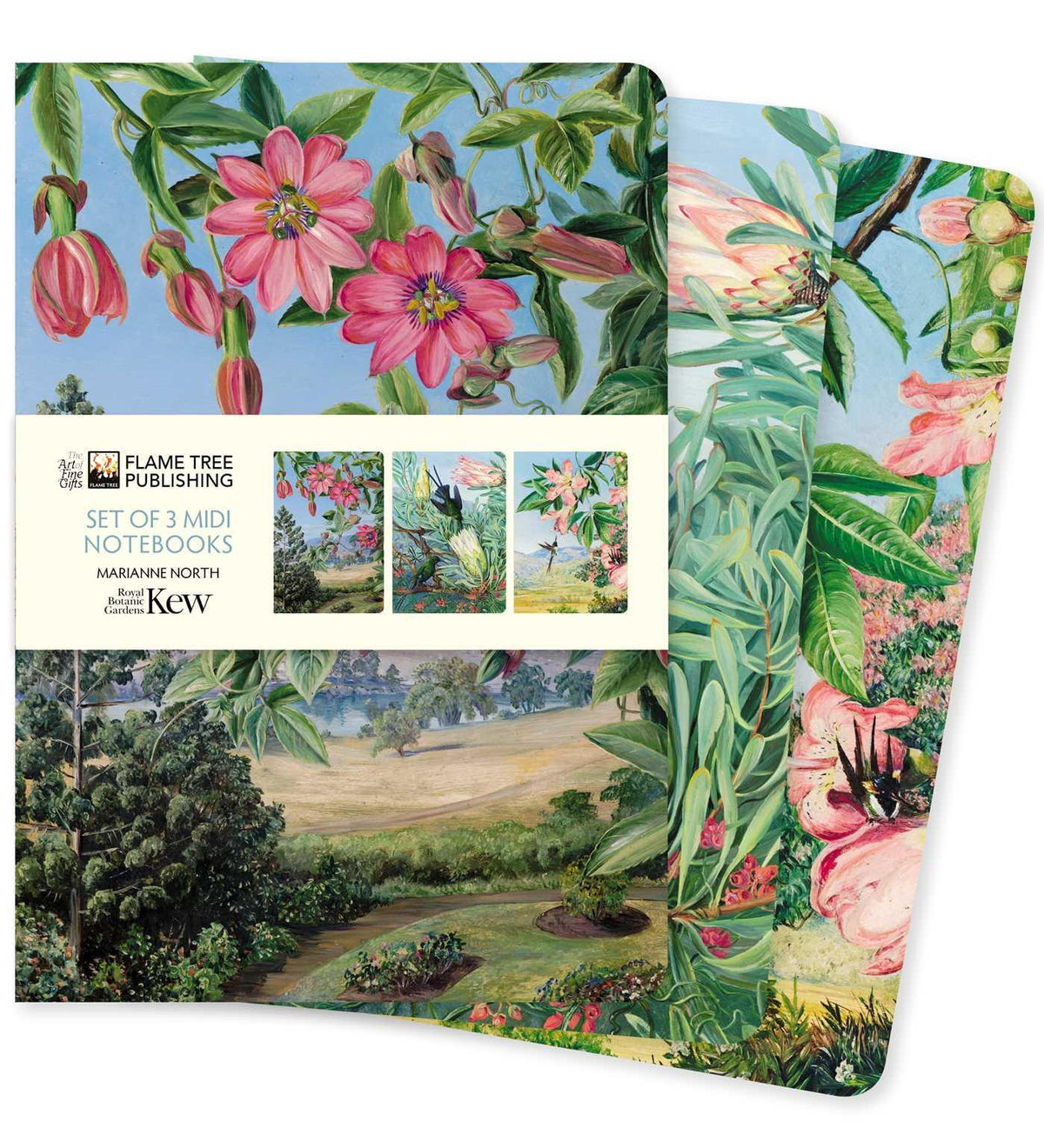 Buchcover: Kew Gardens: Marianne North Set of 3 MIDI Notebooks