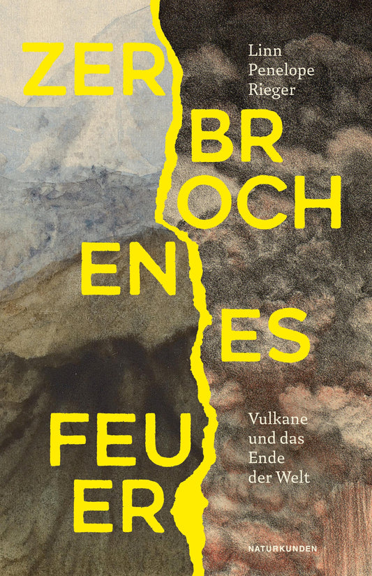 Buchcover: Zerbrochenes Feuer