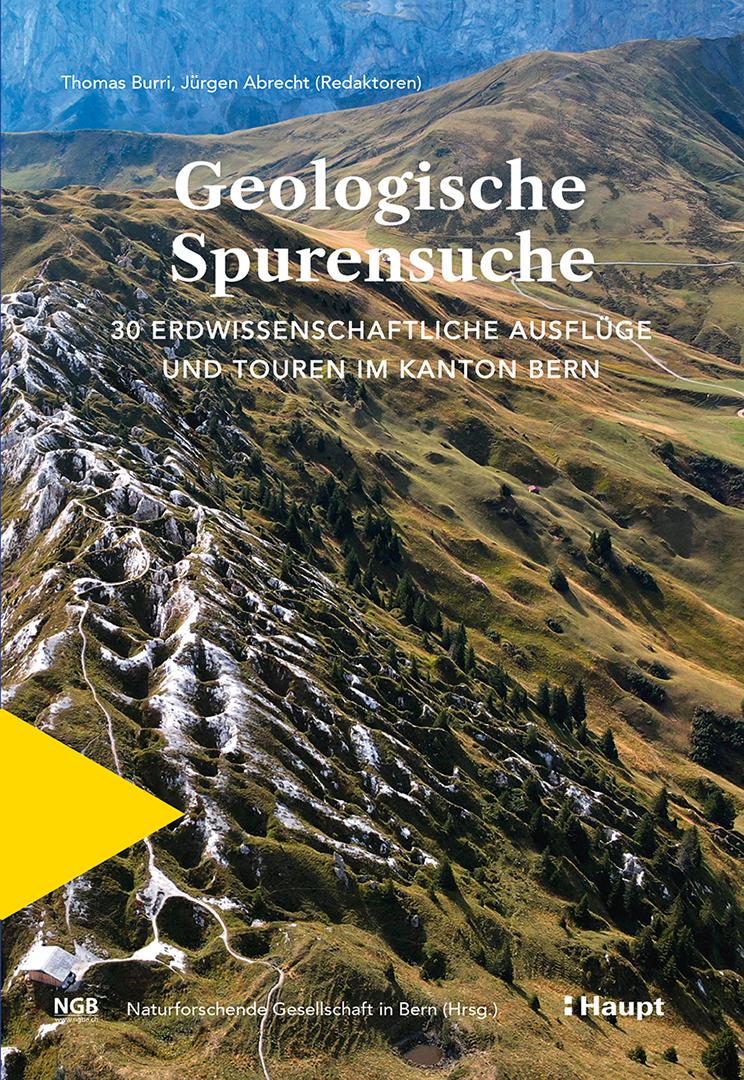 Buchcover: Geologische Spurensuche