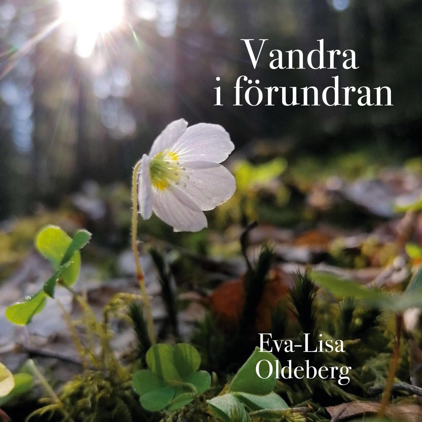 Vandra i förundran