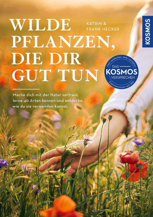 Wilde Pflanzen, die dir gut tun