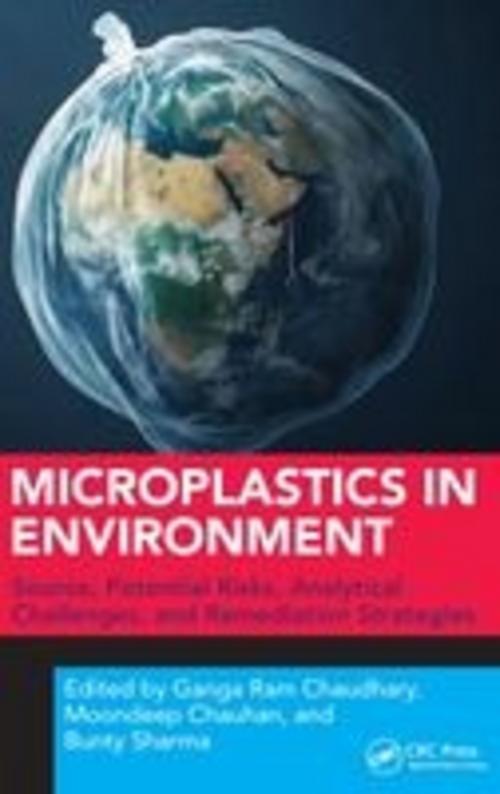 Buchcover: Microplastics in Environment